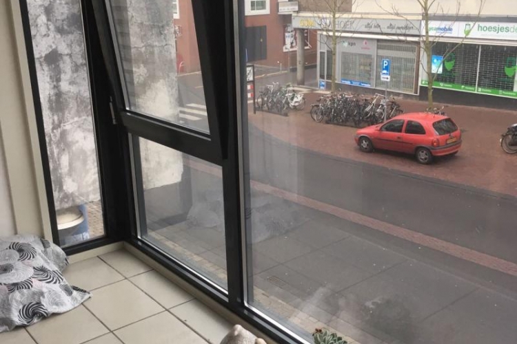 Foto van Appartement in Nijmegen